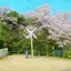 Satoのプロフィール画像