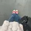 はるかのプロフィール画像