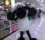 イソジンのプロフィール画像