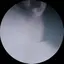 ポポのプロフィール画像