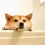 てえた。のプロフィール画像