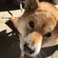 おぎーのプロフィール画像