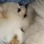 Kannaのプロフィール画像