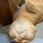 ふうのプロフィール画像