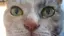 ゆみのプロフィール画像