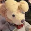 ゆりのプロフィール画像