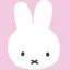 YKNCのプロフィール画像