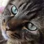 ぽのプロフィール画像