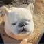 hiのプロフィール画像