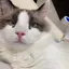 ゆりのプロフィール画像