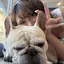 ななのプロフィール画像