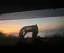 しそのプロフィール画像