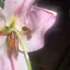xhmceyのプロフィール画像
