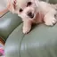 みゆのプロフィール画像