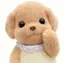 かのんのプロフィール画像