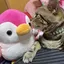 さくまるのプロフィール画像