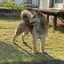 栞のプロフィール画像