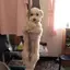 erのプロフィール画像