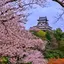 miuraのプロフィール画像