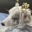 mumuのプロフィール画像