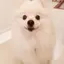 asのプロフィール画像