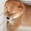 miのプロフィール画像