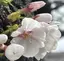 Nのプロフィール画像