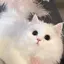 美咲のプロフィール画像