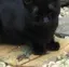もさとかのプロフィール画像