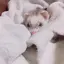 wakanaのプロフィール画像