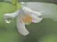 みかんのプロフィール画像