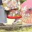 エルカラのプロフィール画像