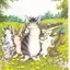 ギズモのプロフィール画像