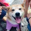 たかゆのプロフィール画像