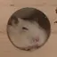 むうのプロフィール画像