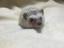 わのプロフィール画像