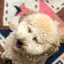 あやかのプロフィール画像