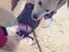 ayuのプロフィール画像
