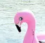 あかねのプロフィール画像