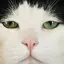 chiemiのプロフィール画像