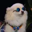 たなのプロフィール画像