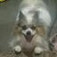mimimiのプロフィール画像