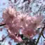 Ayakaのプロフィール画像