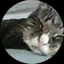 たっつんのプロフィール画像