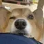 ゆのプロフィール画像