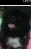 mochaのプロフィール画像