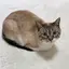 みのプロフィール画像