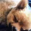 佳那子のプロフィール画像