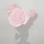 Roseのプロフィール画像
