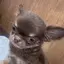 Aのプロフィール画像
